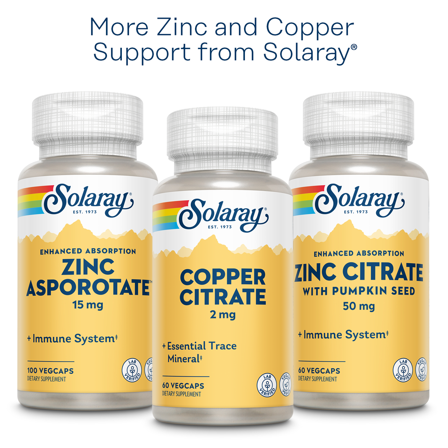 Solaray Zinc Copper Amino Acid Chelates | Healthy Cellular, Heart & Thyroid Function Support w/ Pumpkin Seeds & Kelp | Non-GMO & Vegan | 100 VegCaps