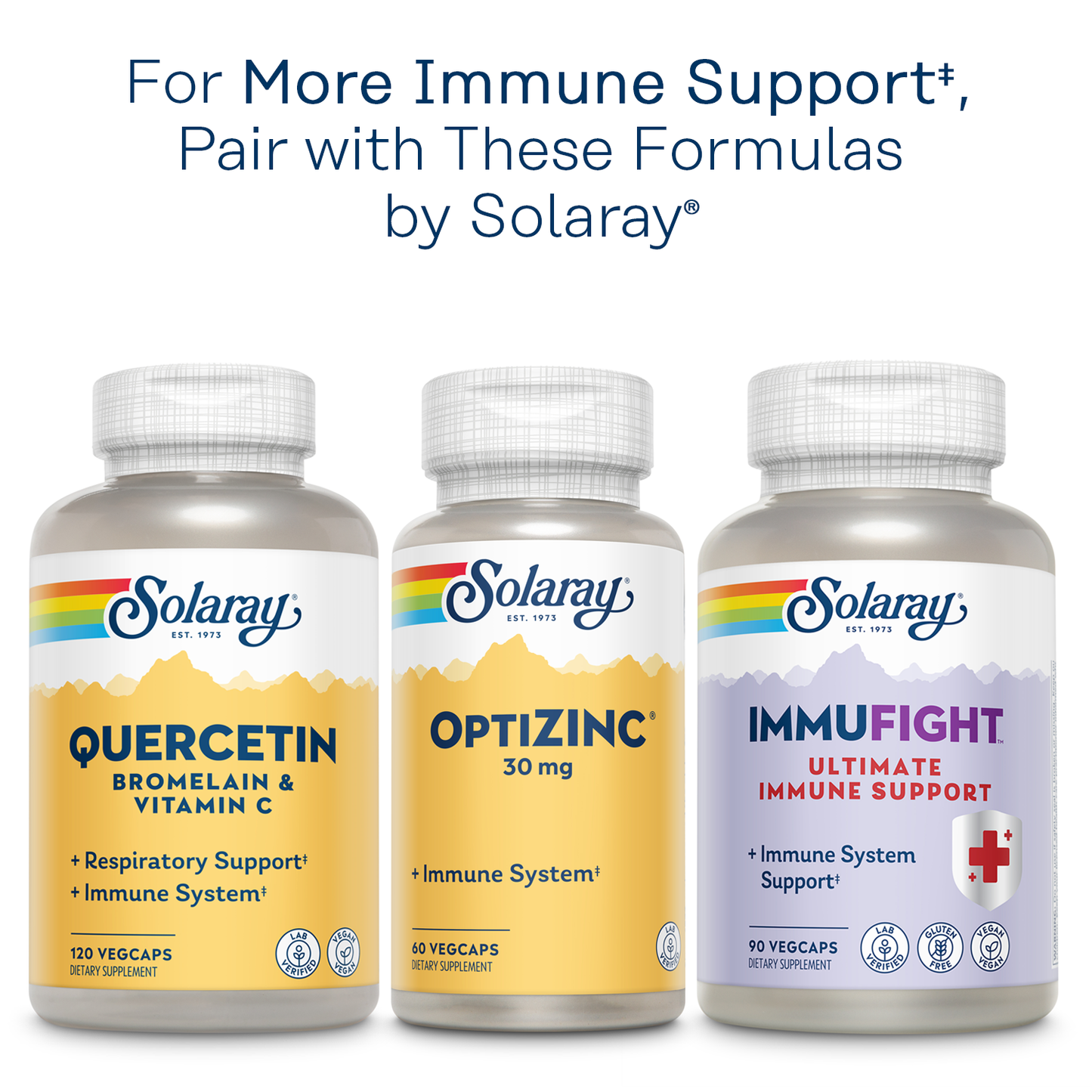 Solaray Super Bio C Buffered Vitamin C w/ Bioflavonoids, Timed-Release Formula for All-Day Immune Support, Gentle Digestion, 1000mg, 100 CT