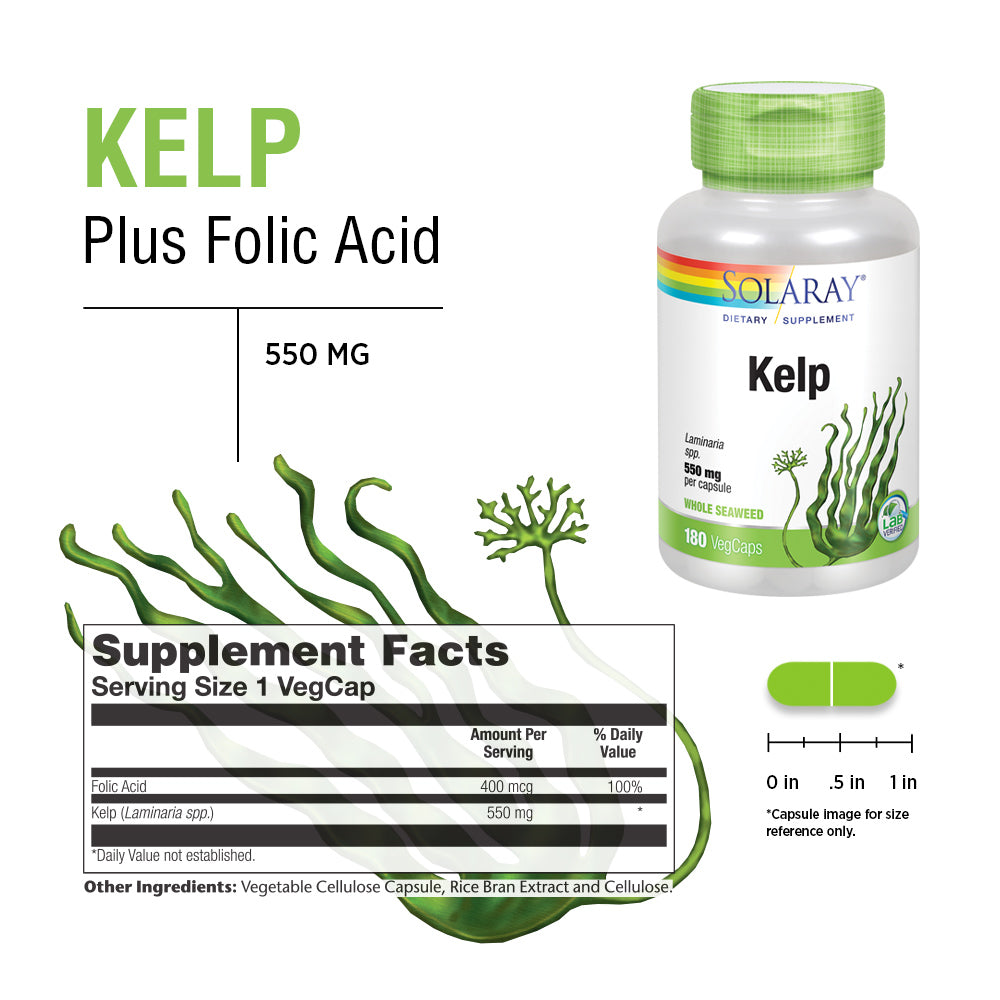 Solaray Kelp 550 mg with Folic Acid for Healthy Thyroid Function, Energy & Metabolism Support | Non-GMO | 180 VegCaps