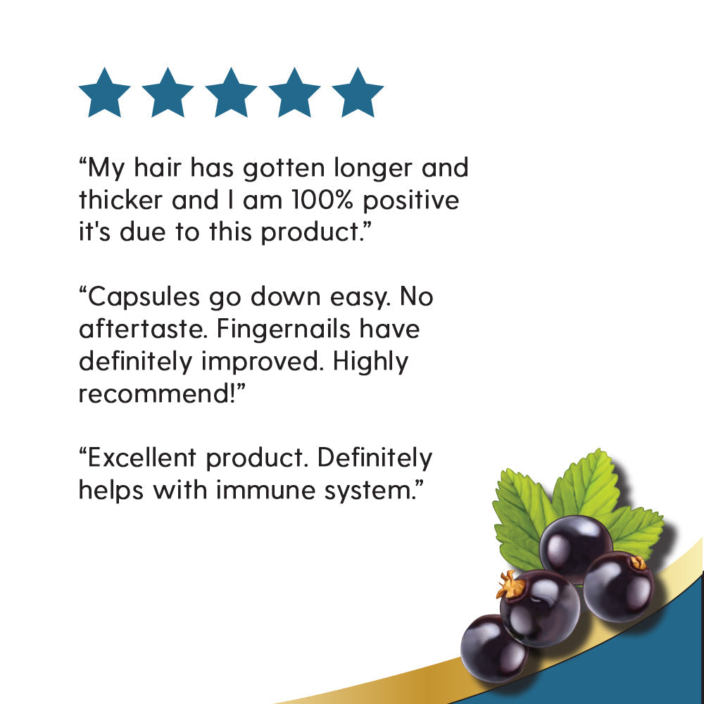 Natures Life Black Currant Seed Oil 1000 mg | With Omega-3 ALA, Omega-6 GLA and Stearidonic Fatty Acids, 30ct