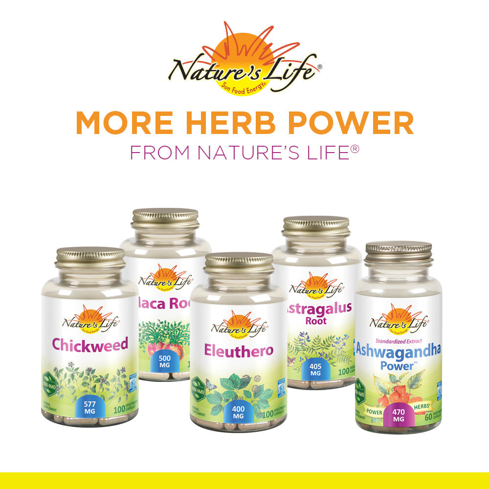 Nature's Life Cats Claw 420 Herbal Supplement (Ua de Gato) | Immune System and Digestion Support | 100 CT