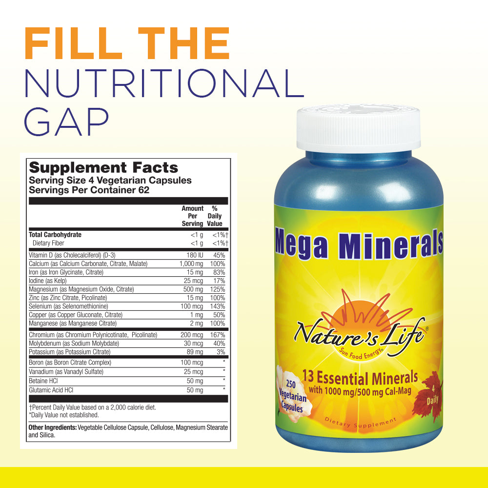 Nature's Life Mega Minerals Complex | Complete Multi Mineral + Vitamin D Supplement | 250 Vegetarian Capsules