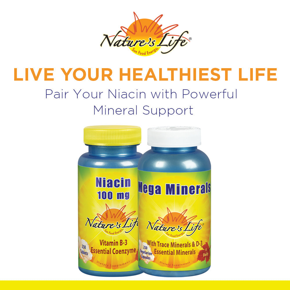 Natures Life Niacin 100mg | Vitamin B3 Supplement | Healthy Blood Lipid, Circulation & Skin Support | 250CT