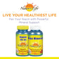 Natures Life Niacin 100mg | Vitamin B3 Supplement | Healthy Blood Lipid, Circulation & Skin Support | 250CT