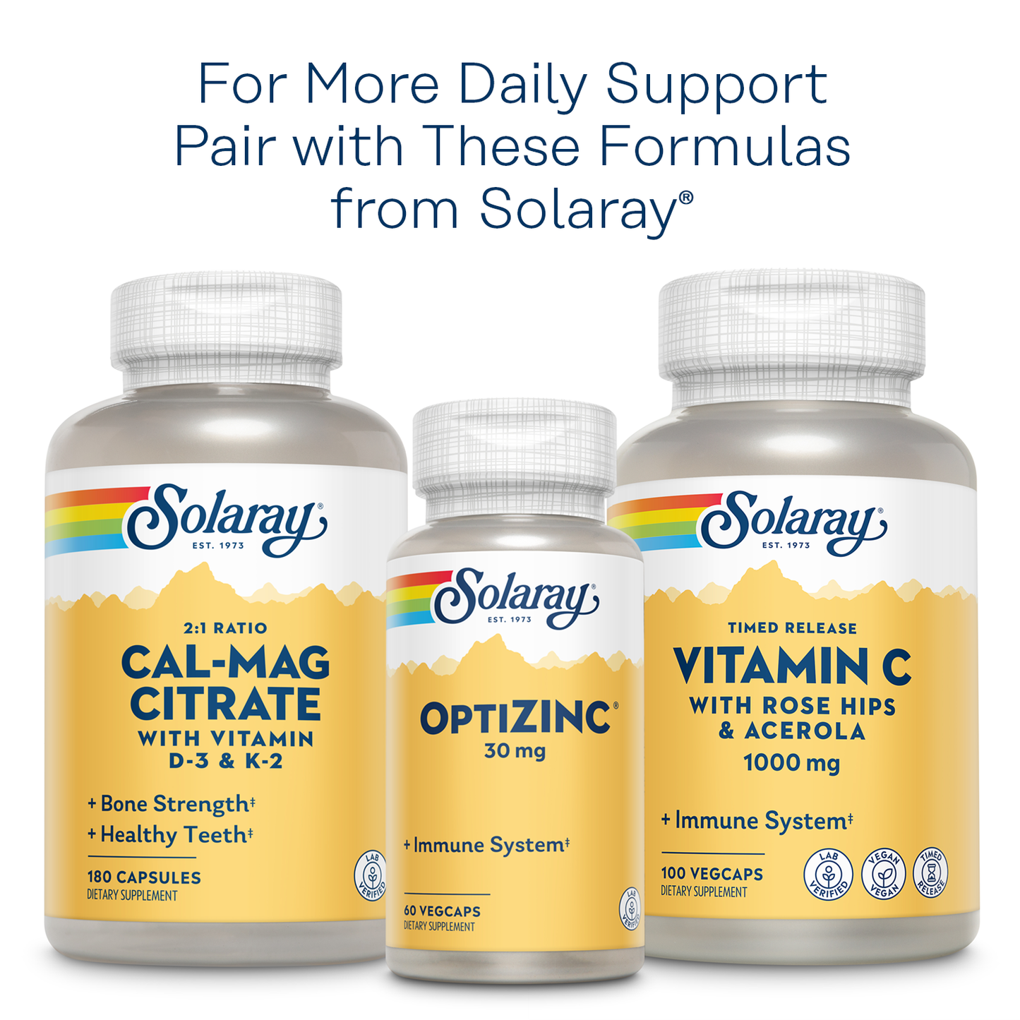 Solaray Vitamin B Complex 100 mg, Healthy Energy Supplement, Red Blood Cell Formation, Nerve & Immune Support, Super B Complex Vitamins with Folic Acid, Vitamin B6, B12, Biotin & More, Vegan, 100 VegCaps