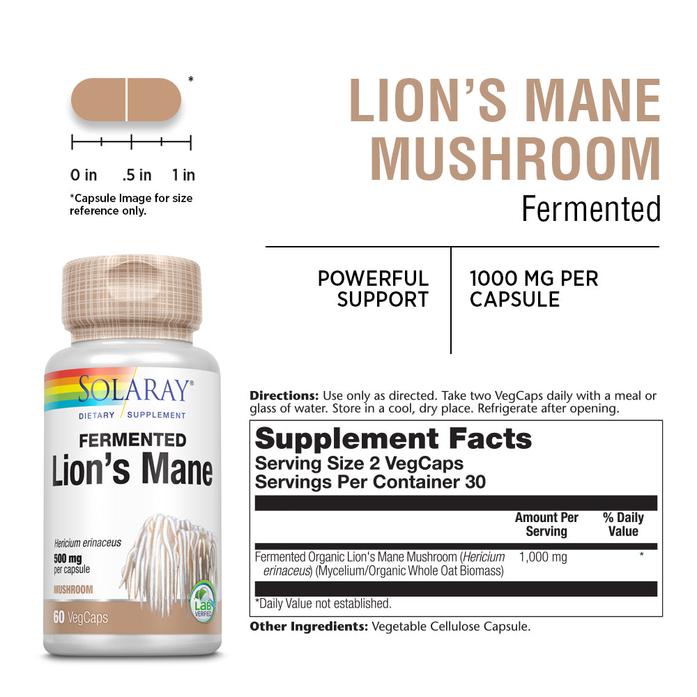 Solaray Fermented Lions Mane Mushroom | Healthy Brain Function, Mental Focus & Immune Support | 60 Vegcaps, 30 Serv