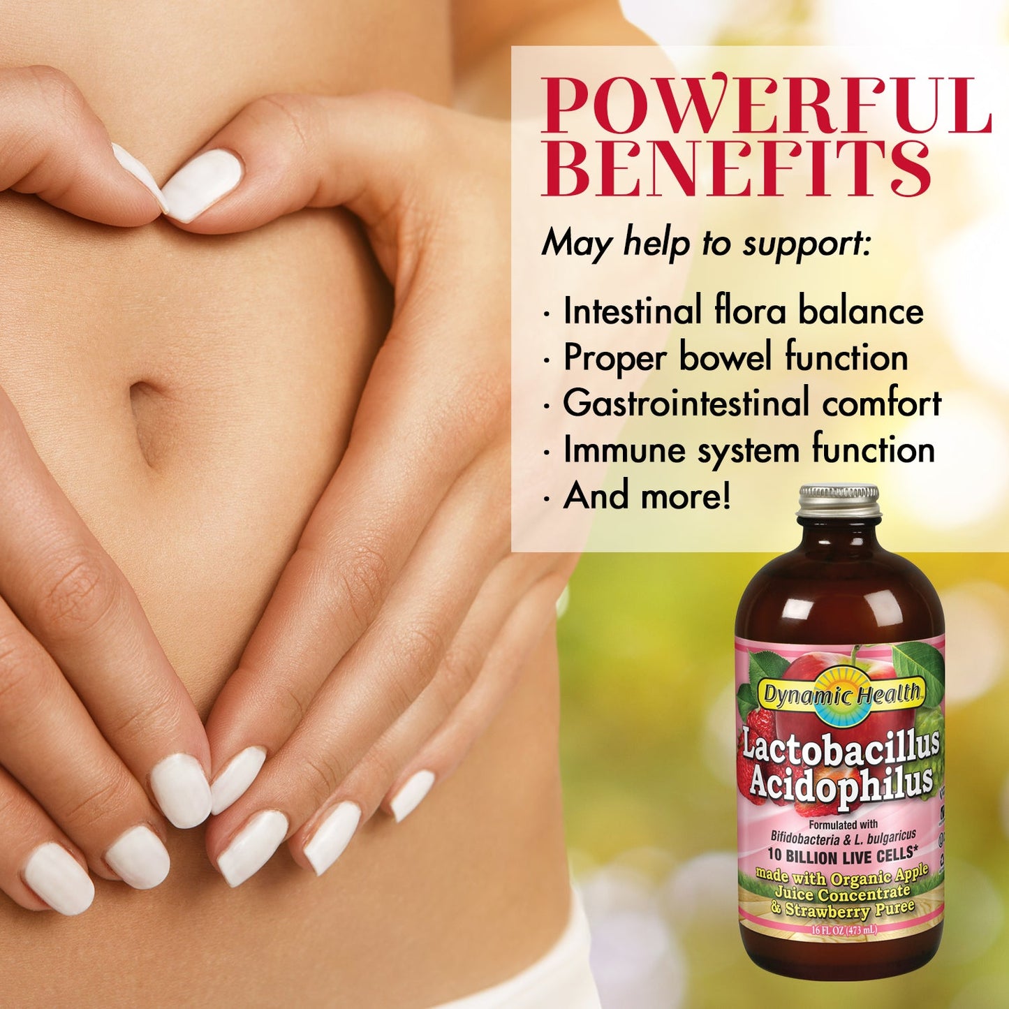 Dynamic Health Lactobacillus Acidophilus, Apple Strawberry | Probiotic | 10 Billion CFU | 16 Servings, 16 FL OZ