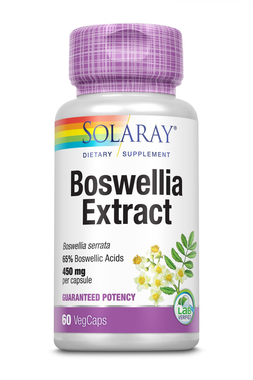 Solaray Guaranteed Potency Boswellia Resin Extract 450 mg VCapsules | 60 Count