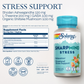 Solaray SharpMind Stress, Nootropic Mood Support Supplement for Relaxation and Occasional Stress Relief Support, Adaptogen with Ashwagandha, L Theanine, 60 Day Money Guarantee, 30 Serv 30 VegCaps