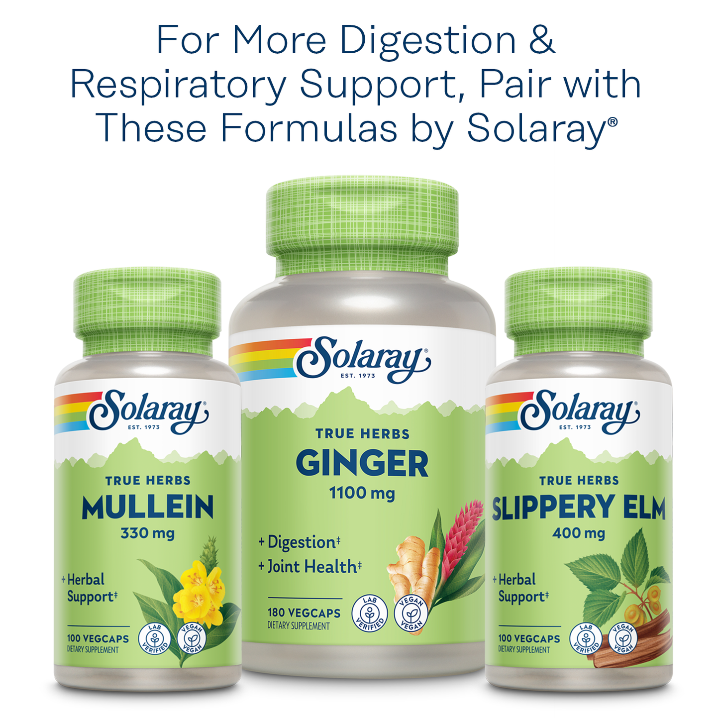 Solaray Marshmallow Root 480 mg Healthy Respiratory Function & Digestion Support Non-GMO & Vegan 100 VegCaps