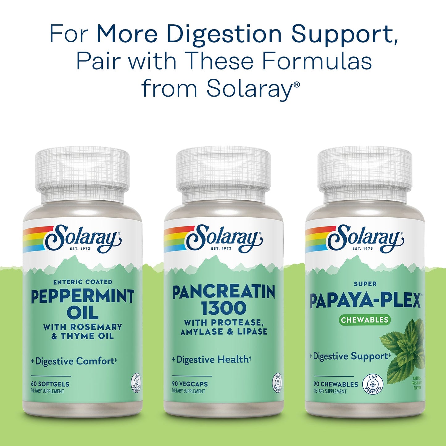 Solaray High Potency Betaine HCL with Pepsin 650 mg, Hydrochloric Acid Formula for Healthy Digestion Support, Lab Verified, 250 VegCaps (250 Servings, 250 Veg Caps)