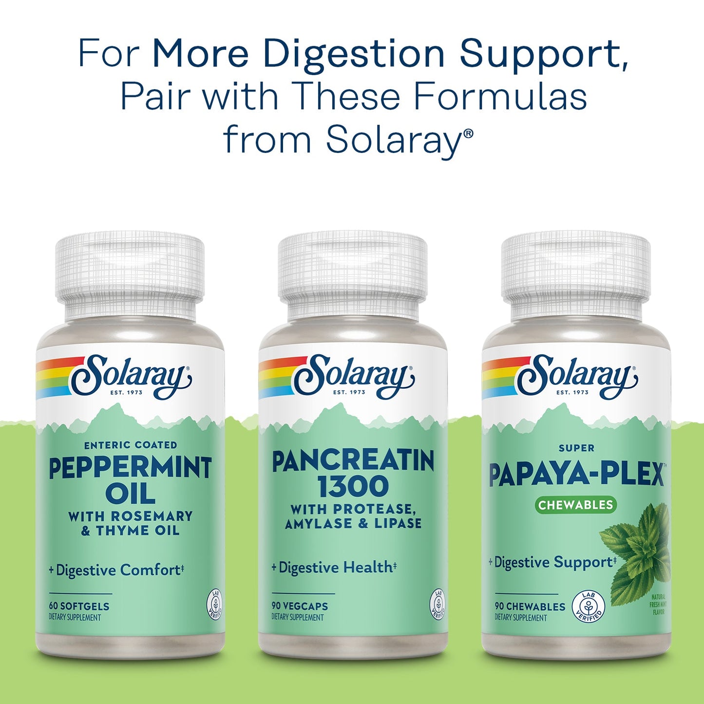 Solaray High Potency Betaine HCL with Pepsin 650 mg, Hydrochloric Acid Formula for Healthy Digestion Support, Lab Verified, 250 VegCaps (100 Servings, 100 Veg Caps)