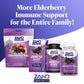 Zand Kids Elderberry Honey Syrup | Childrens Immune Support with Rose Hips & Echinacea | Kids 1+ Years