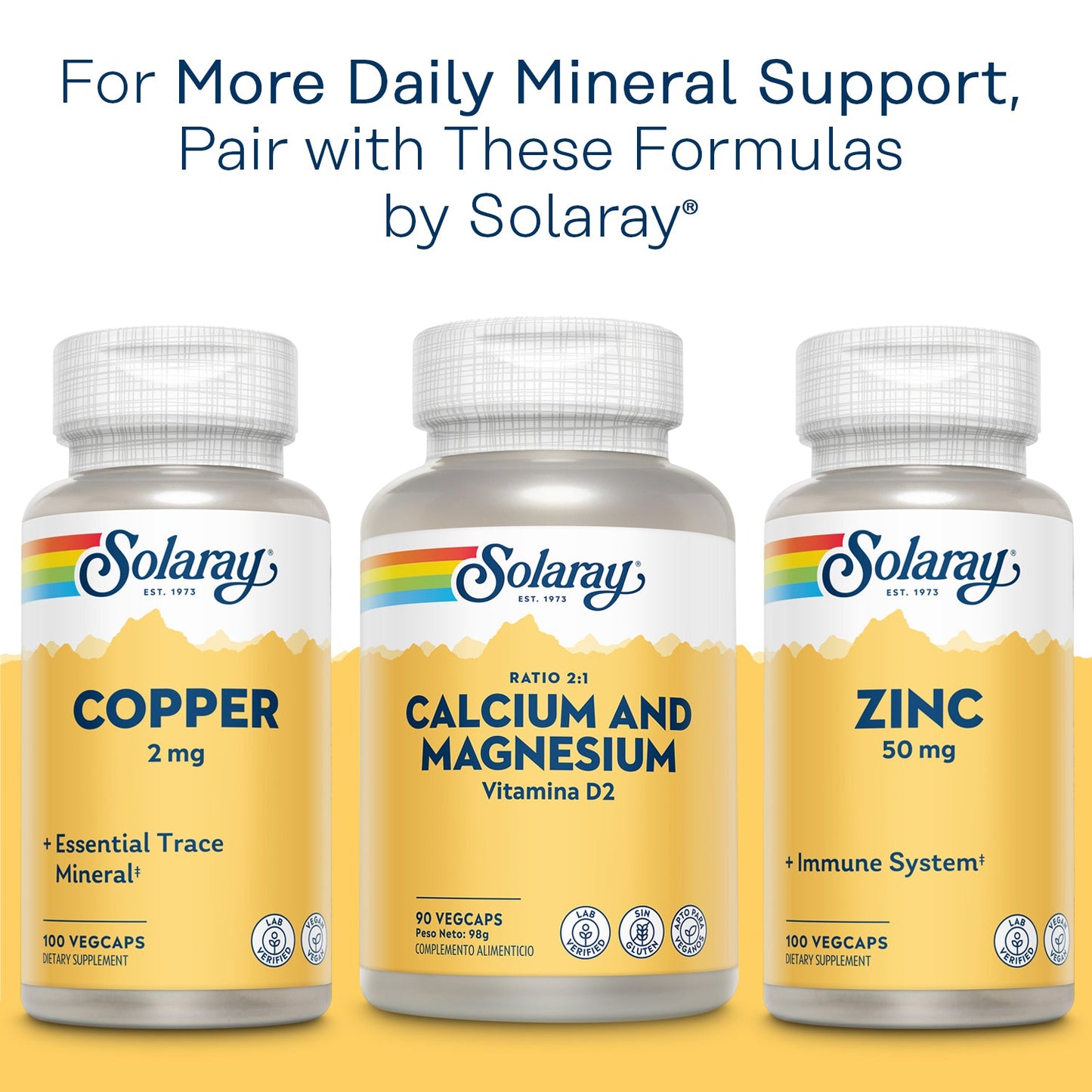Solaray Iron Complex, Timed Release, Healthy Circulation, Red Blood Cell & Cardiovascular Support, 60 Serv, 60 VegCaps