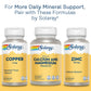 Solaray Iron Complex, Timed Release, Healthy Circulation, Red Blood Cell & Cardiovascular Support, 60 Serv, 60 VegCaps