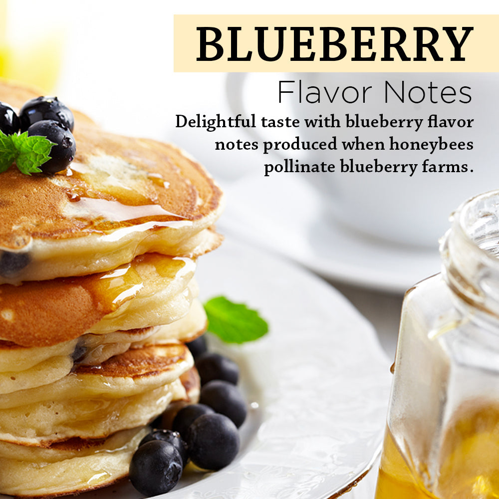 Honey Gardens Apitherapy Blueberry Raw Honey | 100% Pure, US Grade A, Unheated & Unfiltered | 21 Serv | 1 lb Jar