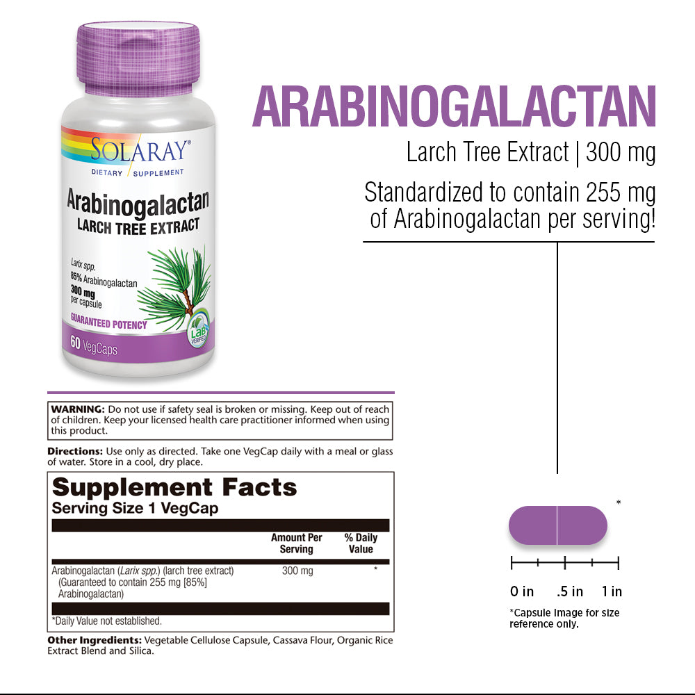 Solaray Arabinogalactan, Larch Tree Extract 300mg | Prebiotic Fiber for Healthy Gut & Immune System Support | 60 VegCaps