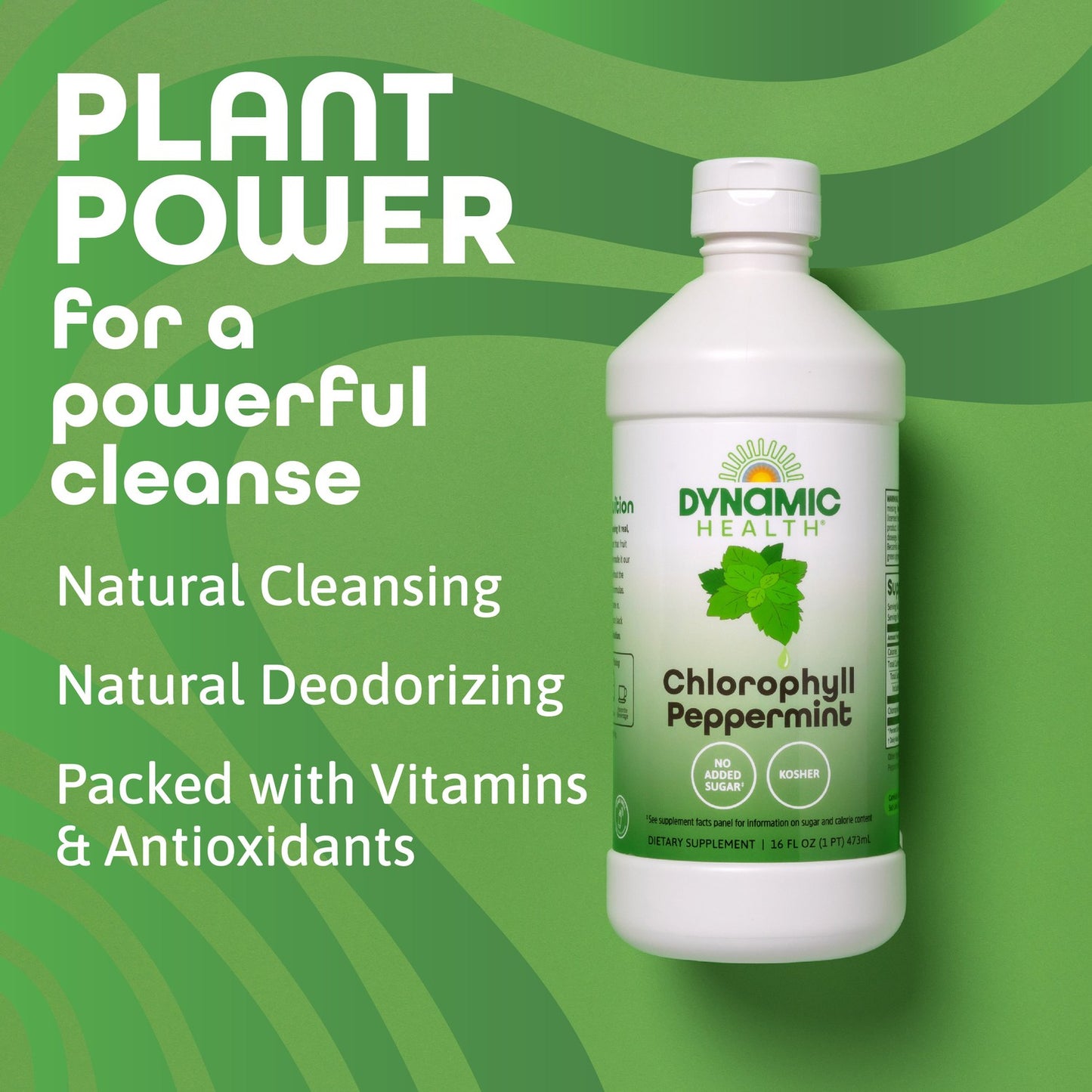 Dynamic Health Liquid Chlorophyll Peppermint 100 mg, Sodium Copper Chlorophyllins with Alfalfa and Mulberry Leaves, Plant Cleanse and Deodorizing, No Added Sugar, 16 Fl Oz