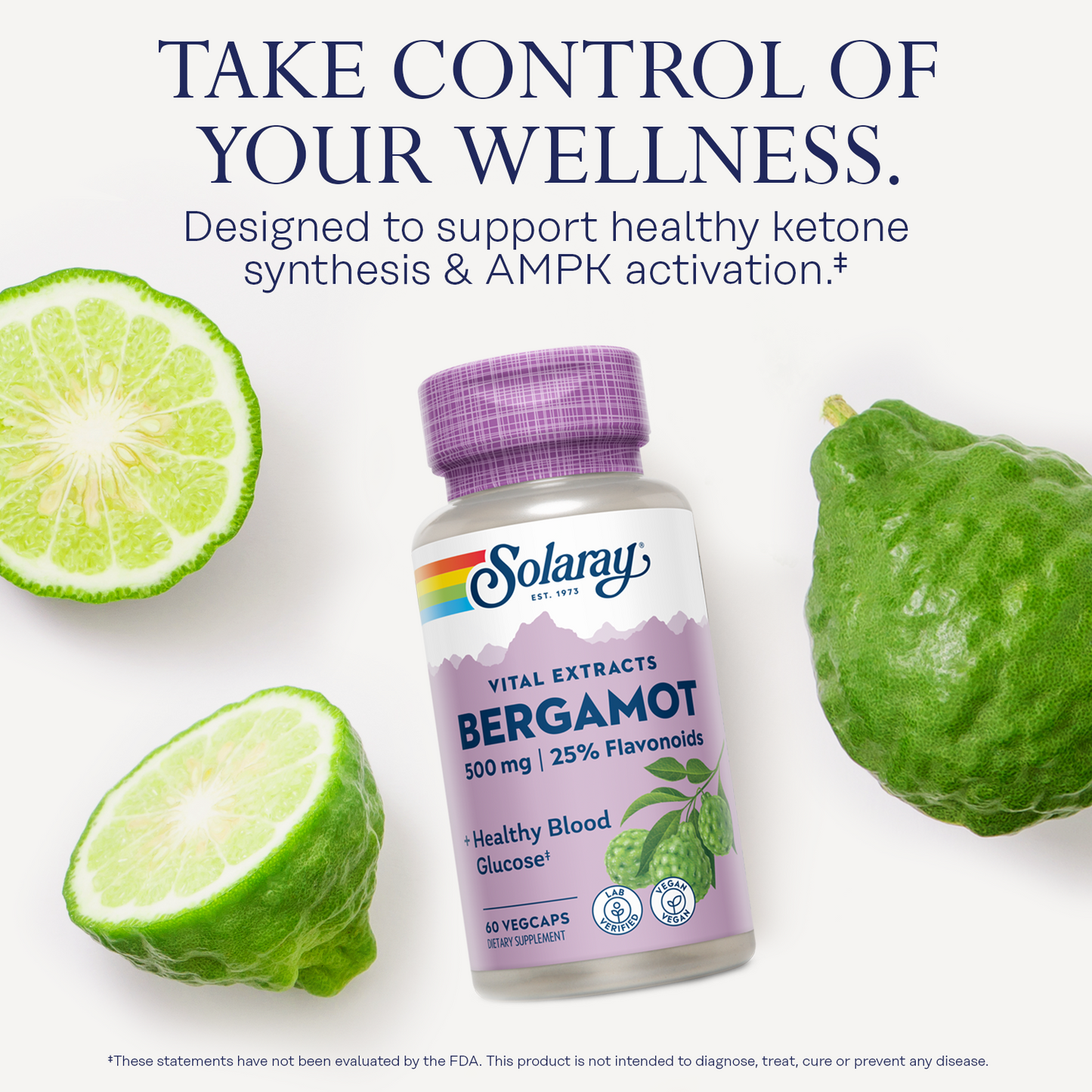 Solaray Bergamot Advanced Formula, Cardiovascular Support Fruit Extract, Veg Cap (Btl-Plastic) 500mg, 60ct