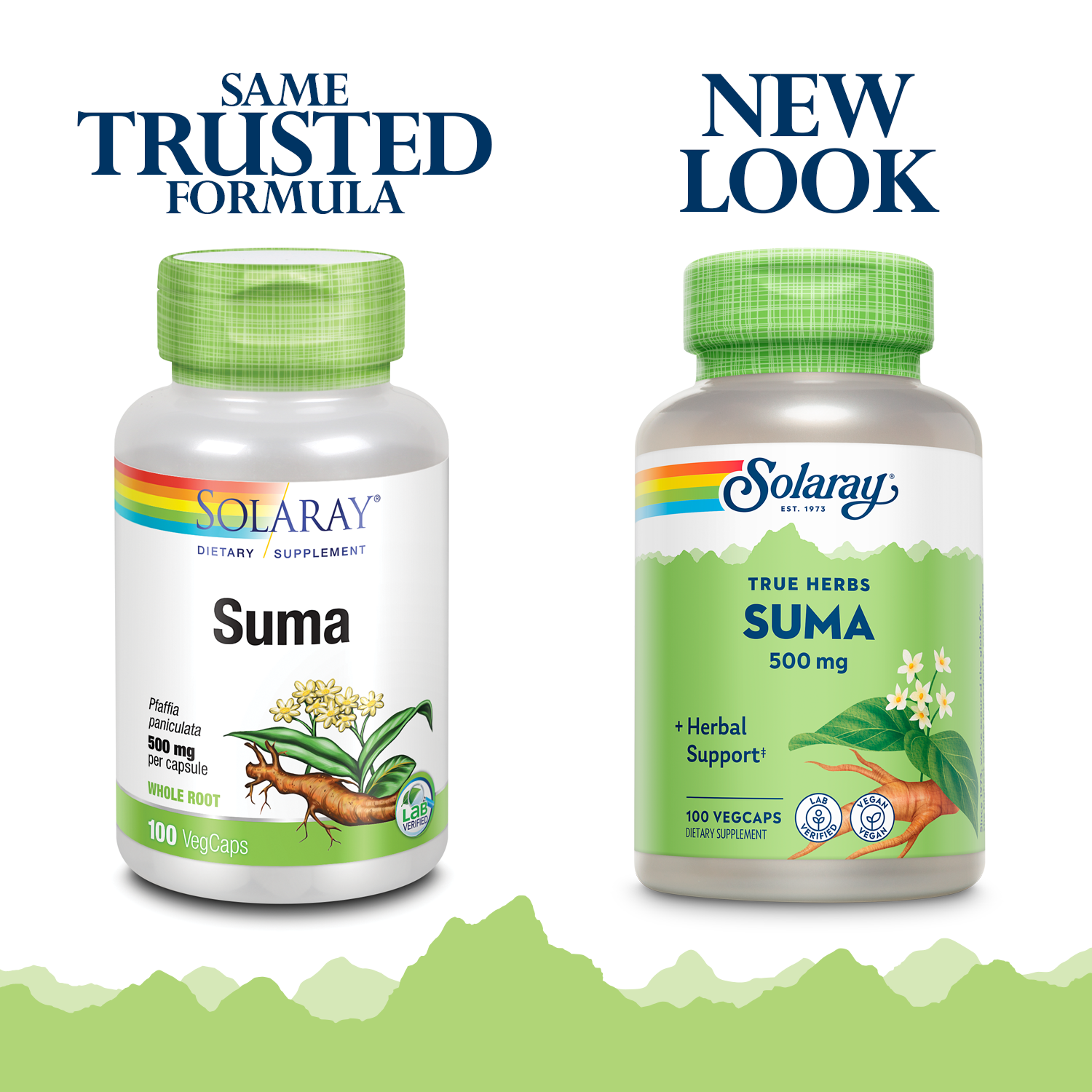 Sumapowder Solaray Suma Root 500mg | Adaptogenic Herb for Healthy Stress & Immune ...