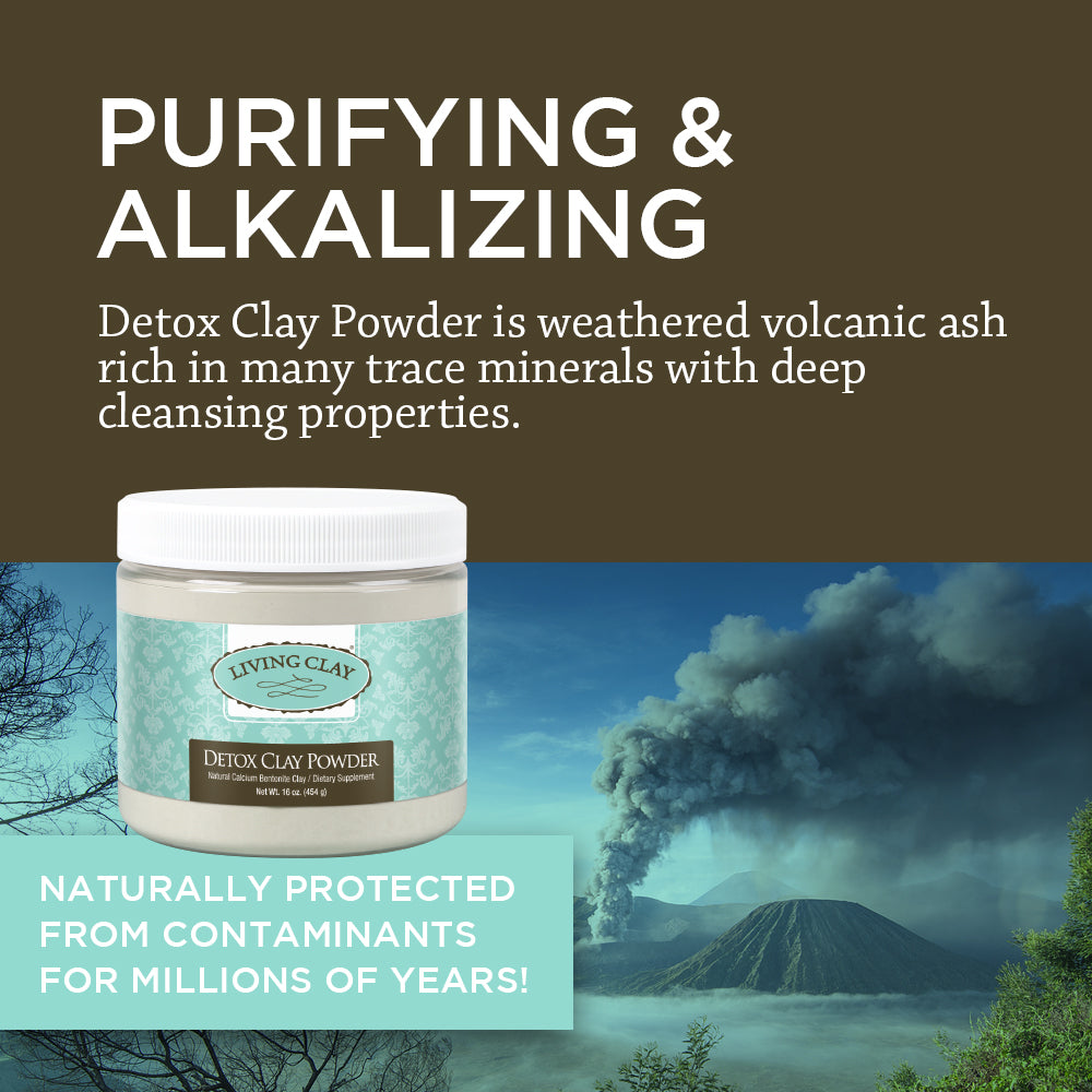 Living Clay Detox Clay Powder | All-Natural Bentonite Calcium Clay for Internal & External Deep Cleansing | Perfect for Mask, Bath or Wrap (16 oz)