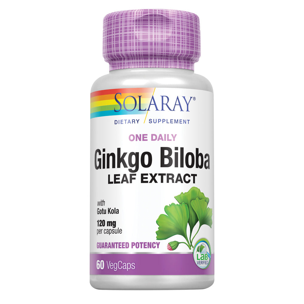 Solaray One Daily Ginkgo Biloba Leaf Extract | Healthy Blood Circulation, Memory & Brain Function Support (60 VegCaps)