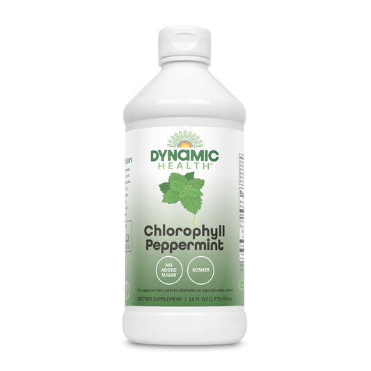 Dynamic Health Liquid Chlorophyll Peppermint 100 mg, Sodium Copper Chlorophyllins with Alfalfa and Mulberry Leaves, Plant Cleanse and Deodorizing, No Added Sugar, 16 Fl Oz