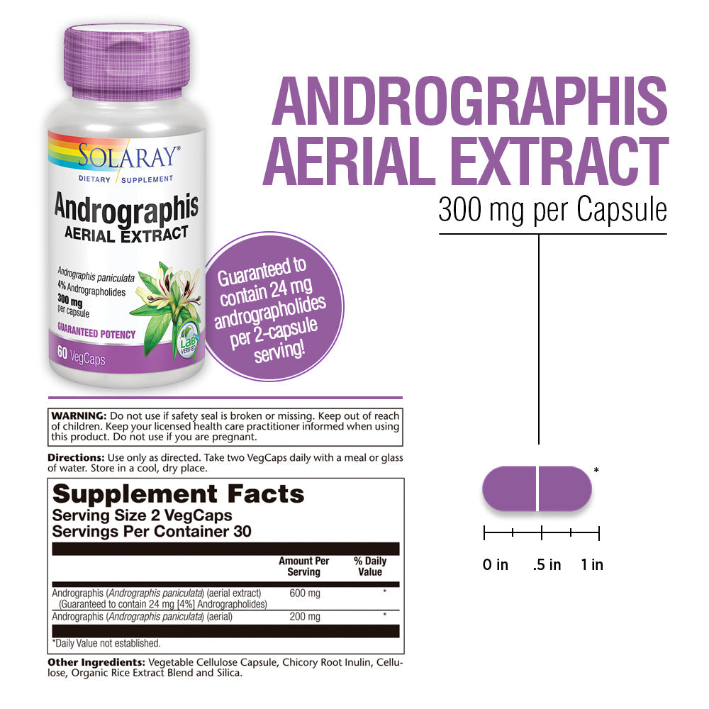 Solaray Andrographis Aerial Extract 600 mg | Healthy Immune System & Respiratory Tract Support | 30 Serv | 60 VegCaps