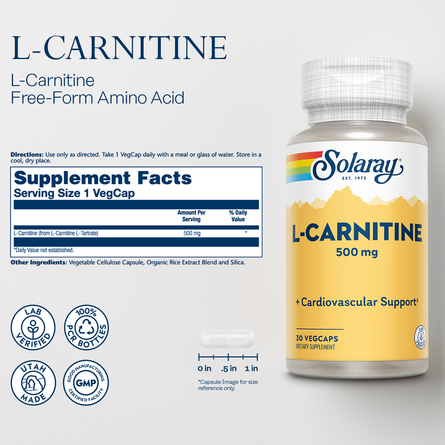 Solaray L-Carnitine 500 mg, Healthy Cardiovascular Support, Free Form Amino Acid, Lab Verified, GMP Facility, 60-Day Money-Back Guarantee, 30 Servings, 30 VegCaps