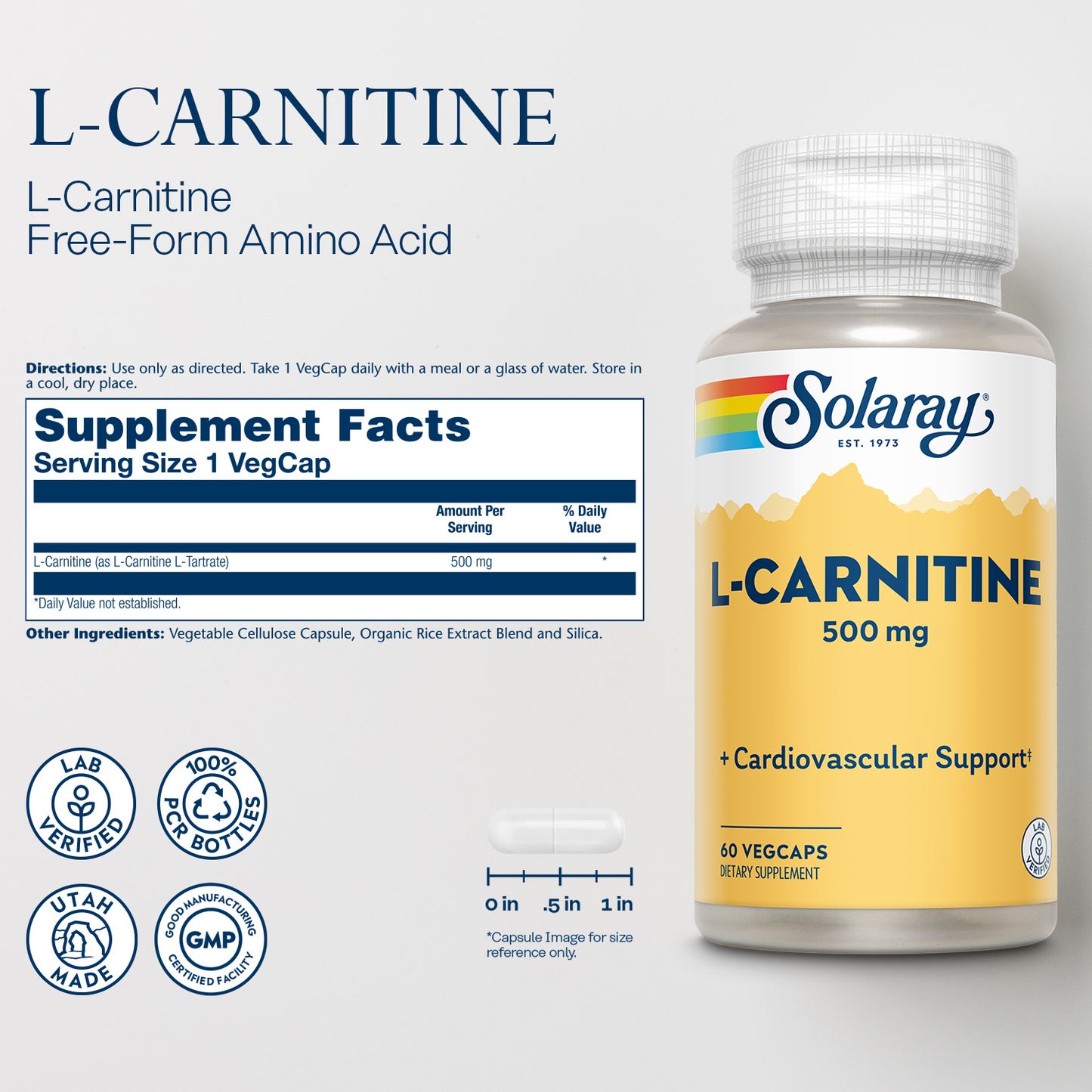 Solaray L-Carnitine 500 mg, Healthy Cardiovascular Support, Free Form Amino Acid, Lab Verified, GMP Facility, 60-Day Money-Back Guarantee, 60 Servings, 60 VegCaps