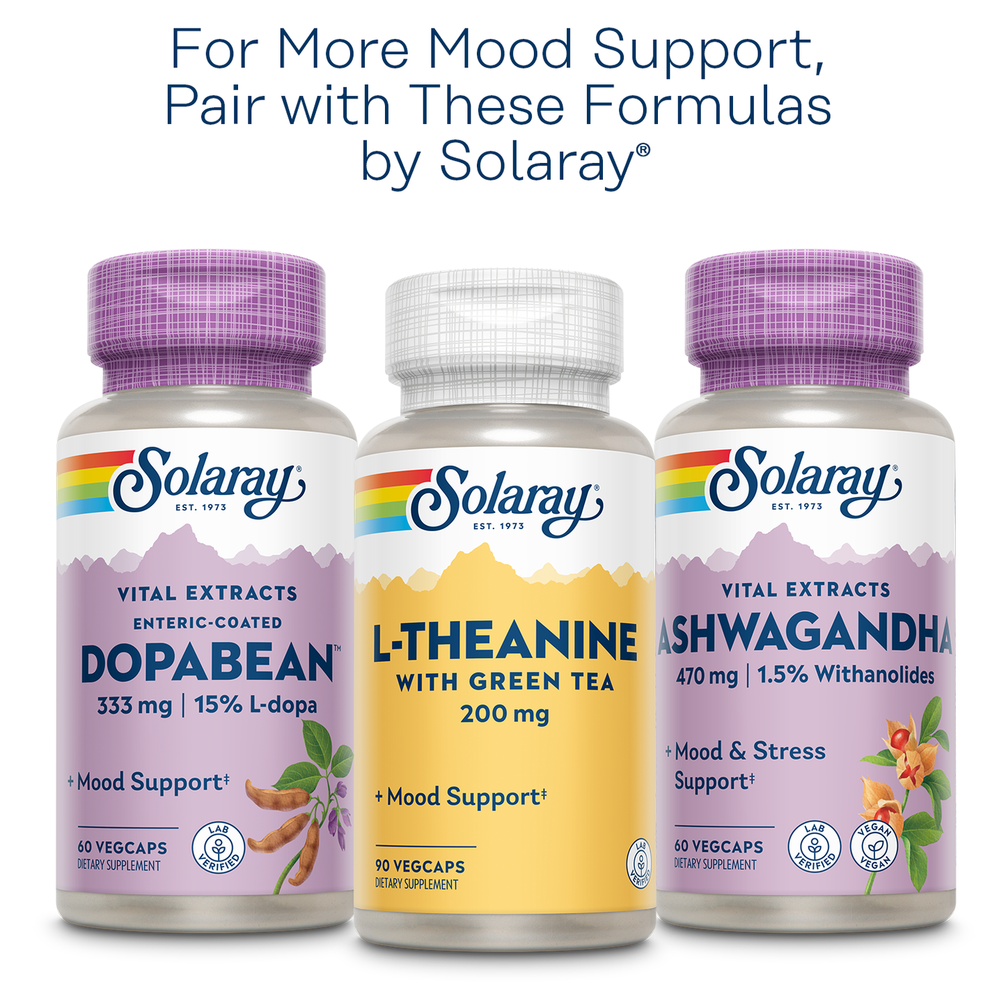 Solaray St. Johns Wort Aerial Extract One Daily 900mg , Standardized w/ 0.3% Hypericin for Mood Stability & Brain Health Support, Non-GMO , 60 Ct