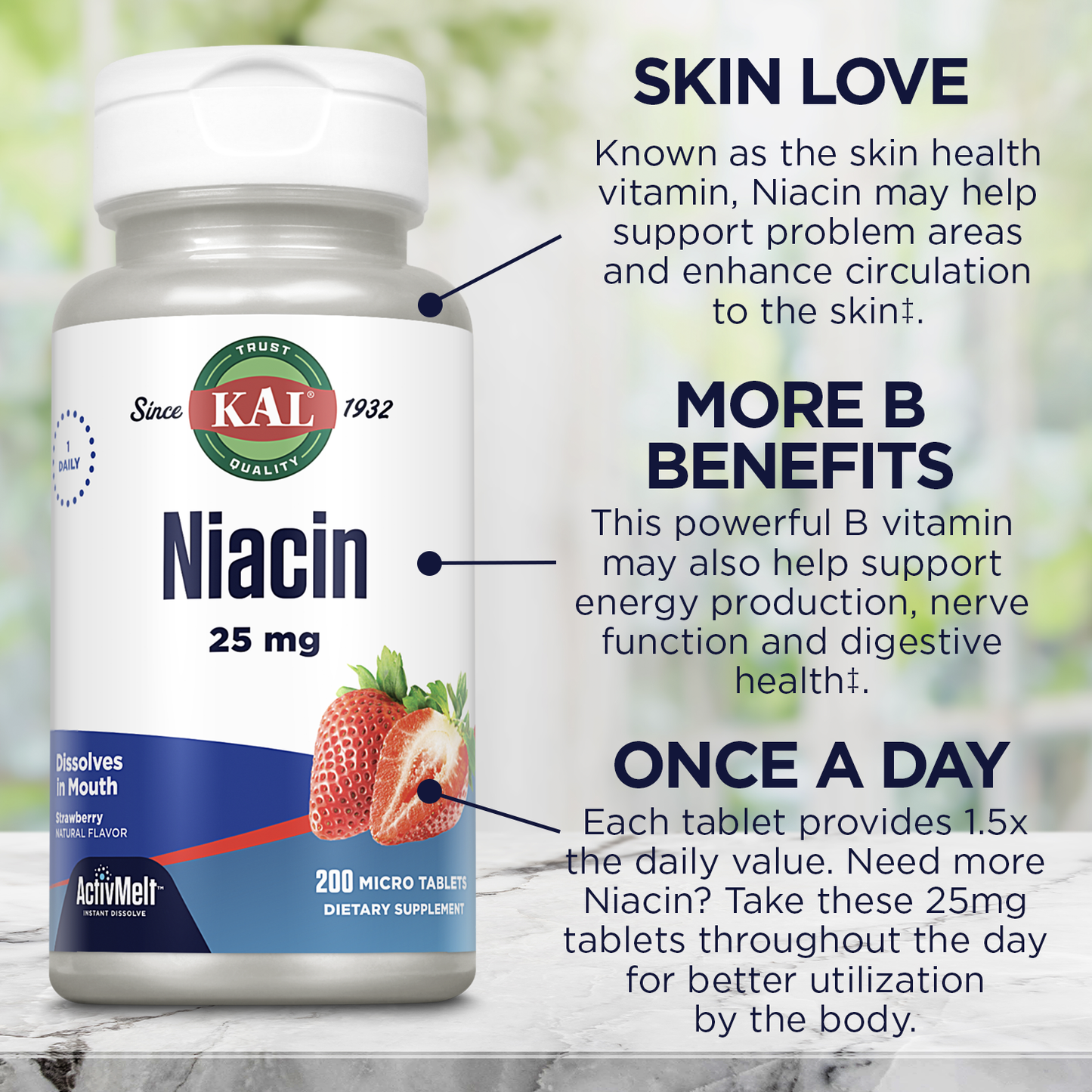 KAL Niacin 25mg ActivMelt, Once Daily Vitamin B3 Supplement, Energy Metabolism, Skin, Nerve & Digestive Health Support, Enhanced Absorption, Natural Strawberry Flavor, 200 Servings, 200 Micro Tablets